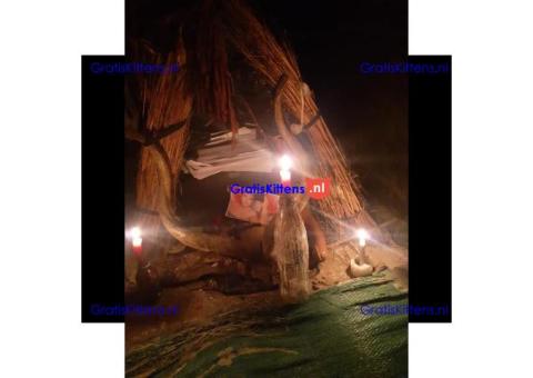 +27672740459➸♔Bring Back Ex Love, Sangoma In California, Traditional Healer\Love Spell Caster.
