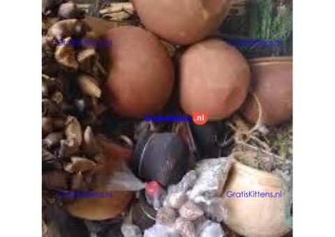 +27790293623]] BEST REVENGE DEATH SPELL CASTER IN CANADA, USA, UK