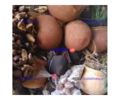 +27790293623]] BEST REVENGE DEATH SPELL CASTER IN CANADA, USA, UK