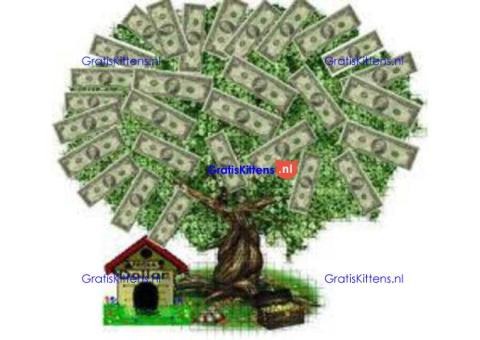 Bedrijfskrediet en contante financiering