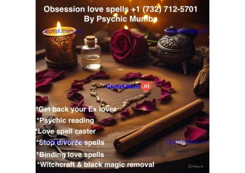 Effective love spells +1 (732) 712-5701 In Charleston, WV Bring back lost lover Psychic Reading Hex.
