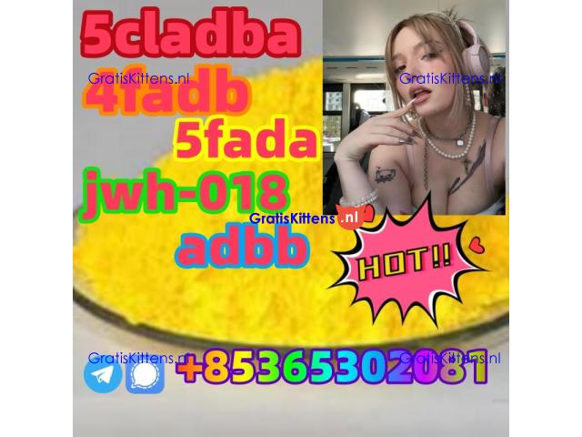 buy 5cl 5cladba precursor yellow powder best supplier