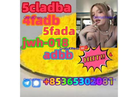 buy 5cl 5cladba precursor yellow powder best supplier