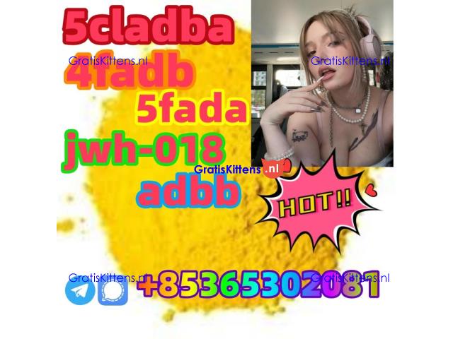 buy 5cl 5cladba precursor yellow powder best supplier