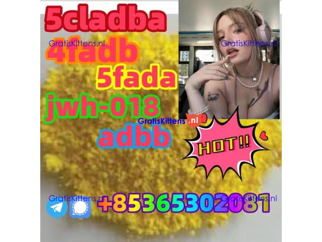 buy 5cl 5cladba precursor yellow powder best supplier