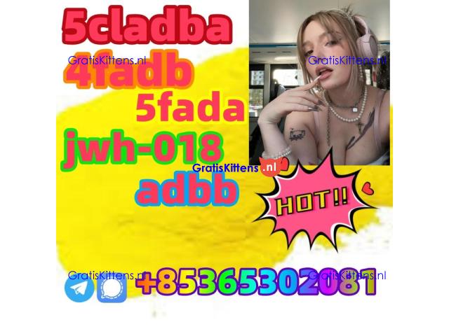 buy 5cl 5cladba precursor yellow powder best supplier