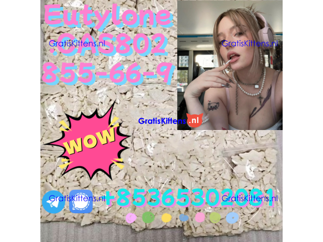 Do you want to buy802855-66-9powder?