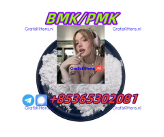 Do you want to buyBMK/PMK powder?