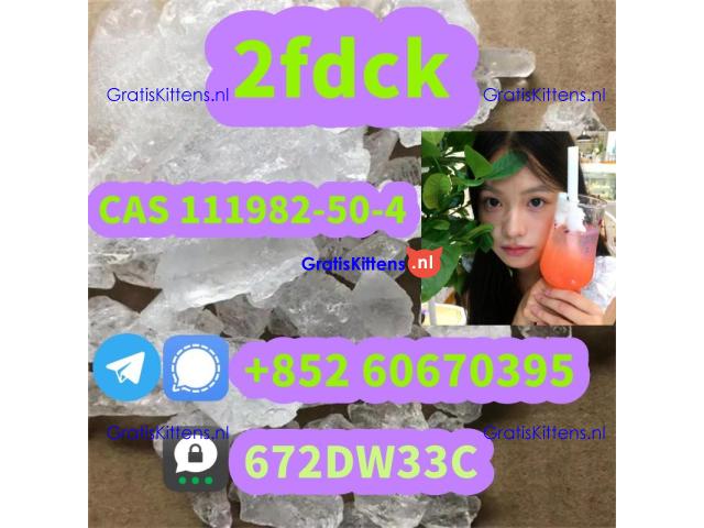 Low price 2fdck China supplier