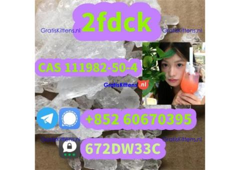 Low price 2fdck China supplier