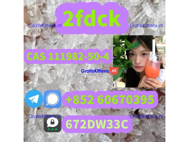 Low price 2fdck China supplier