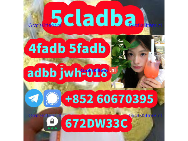 Supply low price 5cladba fast delivery