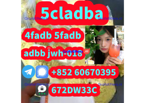 Supply low price 5cladba fast delivery