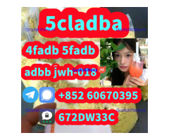 Supply low price 5cladba fast delivery