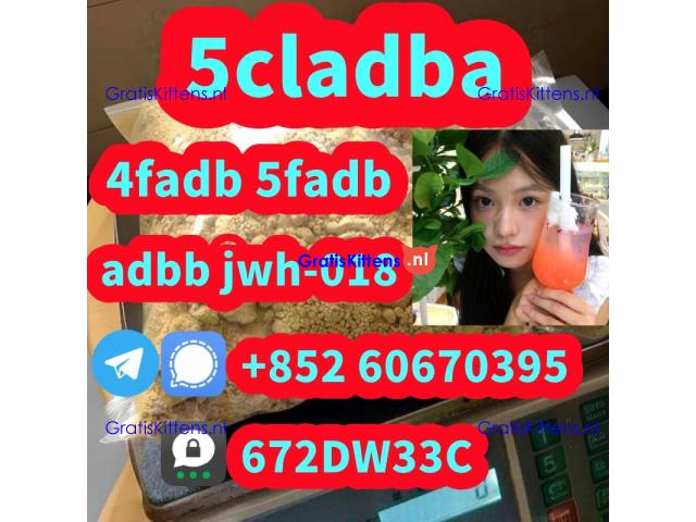Supply low price 5cladba fast delivery