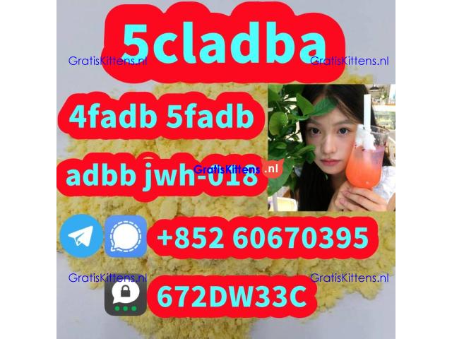 Supply low price 5cladba fast delivery