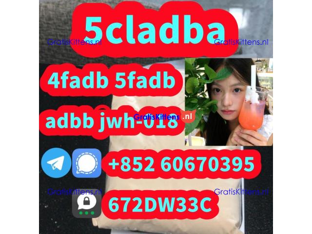 Supply low price 5cladba fast delivery