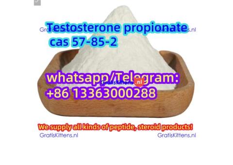 2025 Testosterone propionate cas 57-85-2