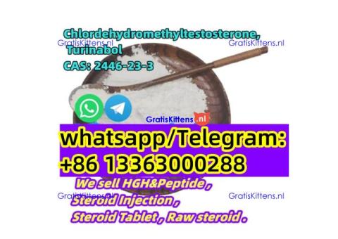 2025 Testosterone cypionate cas 58-20-8