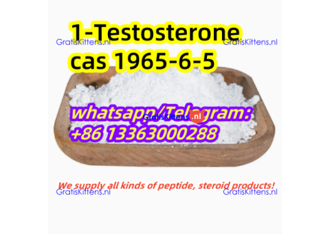 17α-methyl-1-Testosterone CAS 58-18-4