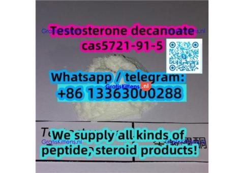 Testosterone Decanoate(TD) Steroid raw materials CAS 5721-91-5
