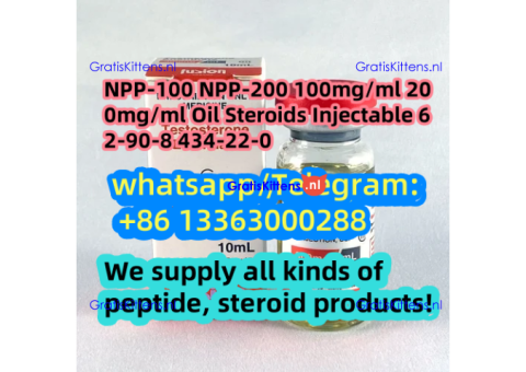 DHB (1-Testosterone) 100mg/ml Injection CAS 65-06-5