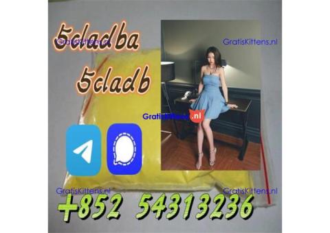 Factory Supply 5-Bromo-1-Pentene CAS 1119-51-3,5cladb,5cladba +852 54313236