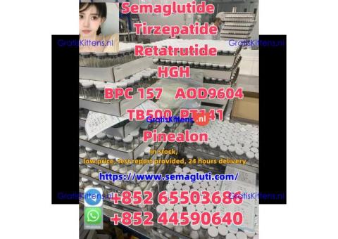 Peptide supply (weight loss, muscle gain, beauty, anti-aging)