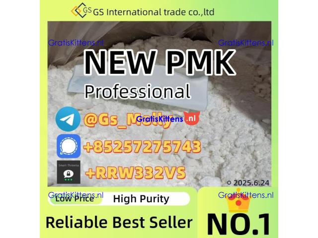 DMAA Base/Oil – CAS 1451-82-7 | Bulk Supplier for Chemical Synthesis