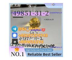 Lab Grade CAS 49851-31-2 | Trade Assurance | Prime Shipping