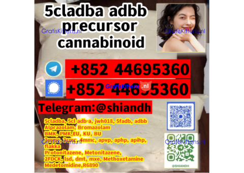 5cladba 5cl 5CL-ADB-A percurser 5cladba 5CL-ADBA 5CLADBA powder