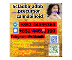 BUY 5CL-ADB-A 5cladba cannabinoids adbb 5CLADBA 5CLADBA