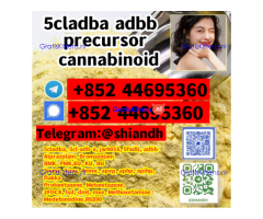 5CL-ADB-A 5CLADB-A 5cladba adbb 5CLADBA of sufficient inventory