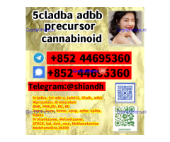 5cladba 5CL-ADB-A 5CLADBA cannabinoid 5cladba adbb jwh018 china supplier