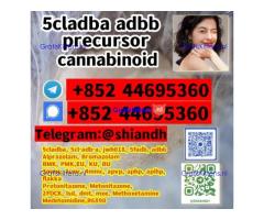 cannabinoid powder 5CLADBA adbb 5CLADBA 5cladba 5CL-ADBA
