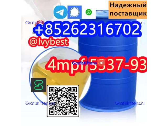 4'-Methylpropiophenone 4-MPF/4-MPP Wholesale Price CAS 5337-93-9