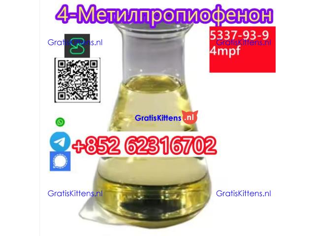4'-Methylpropiophenone 4-MPF/4-MPP Wholesale Price CAS 5337-93-9