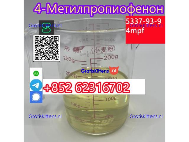 4'-Methylpropiophenone 4-MPF/4-MPP Wholesale Price CAS 5337-93-9