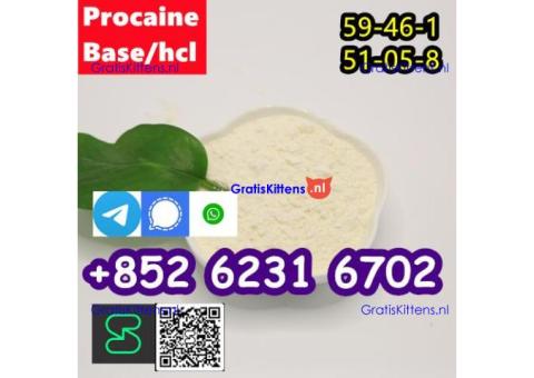 Procaine cas 59-46-1 Procaine hcl cas 51-05-8  factory direct sale.