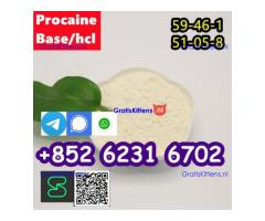 Procaine cas 59-46-1 Procaine hcl cas 51-05-8  factory direct sale.