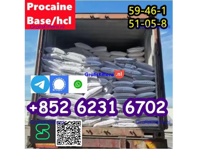 Procaine cas 59-46-1 Procaine hcl cas 51-05-8  factory direct sale.