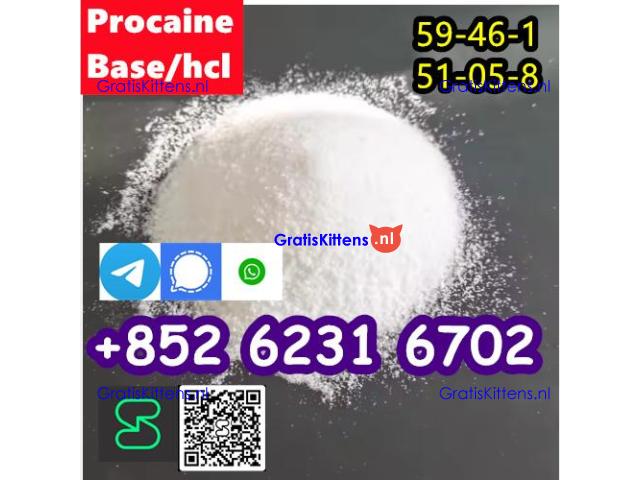 Procaine cas 59-46-1 Procaine hcl cas 51-05-8  factory direct sale.