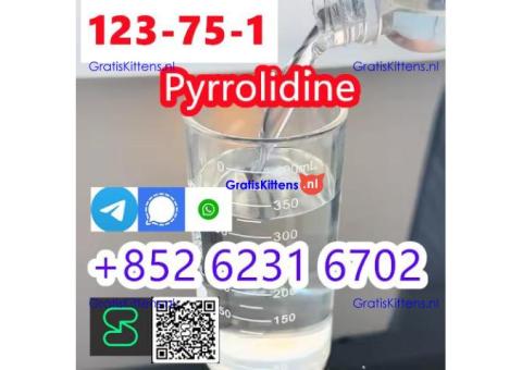 legit Supplier Pyrrolidine N Methyl Pyrrolidine CAS 123-75-1 for Medical Use
