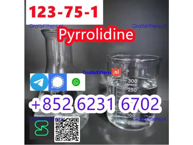 legit Supplier Pyrrolidine N Methyl Pyrrolidine CAS 123-75-1 for Medical Use