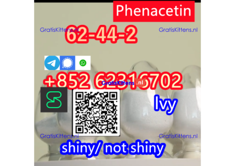 high quality Phenacetin CAS 62-44-2  supplier with cheap price
