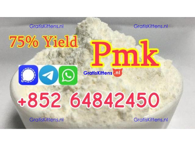 2025 new arrival pmk powder with high yield