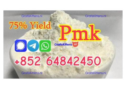 2025 new arrival pmk powder with high yield