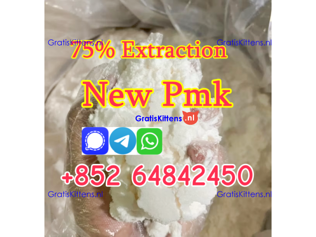 2025 new arrival pmk powder with high yield