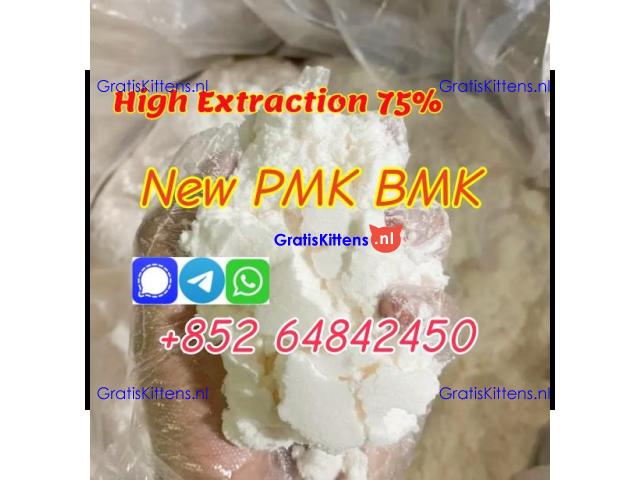 Netherlands hot sale new PMK Powder with high yield