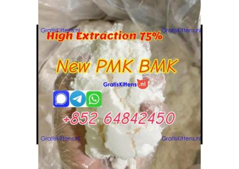 Netherlands hot sale new PMK Powder with high yield